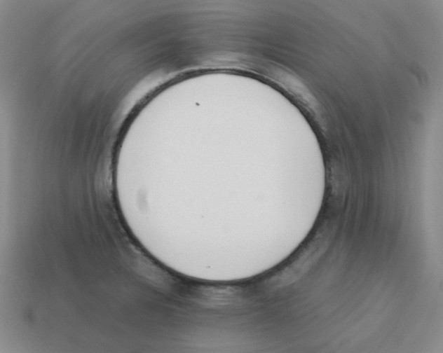 X0000113241328200910221052