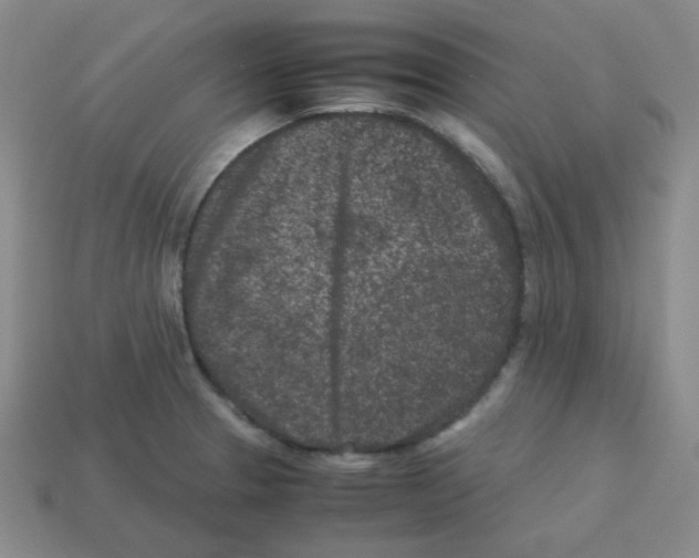 X0000113241329200910221052