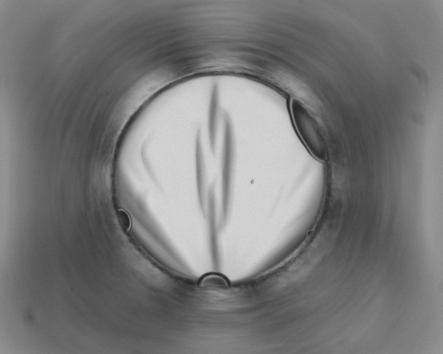 X0000113241330200910221052