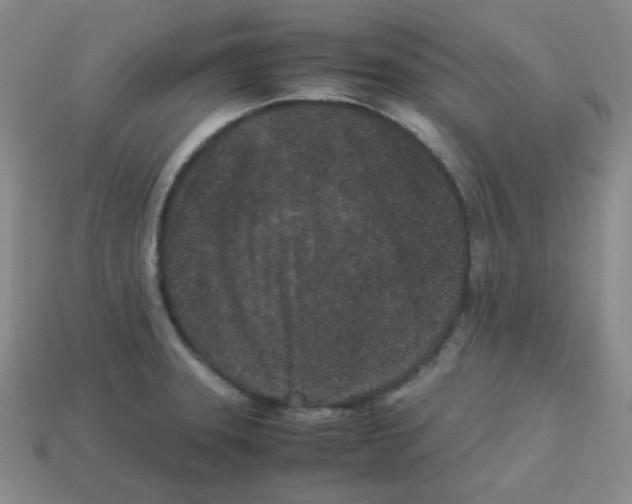 X0000113241331200910221052