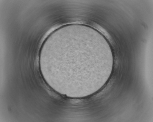 X0000113241332200910221052