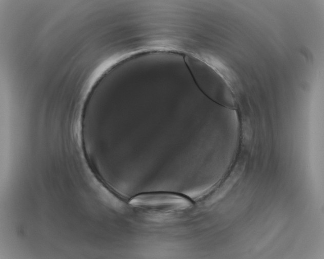 X0000113241334200910221052