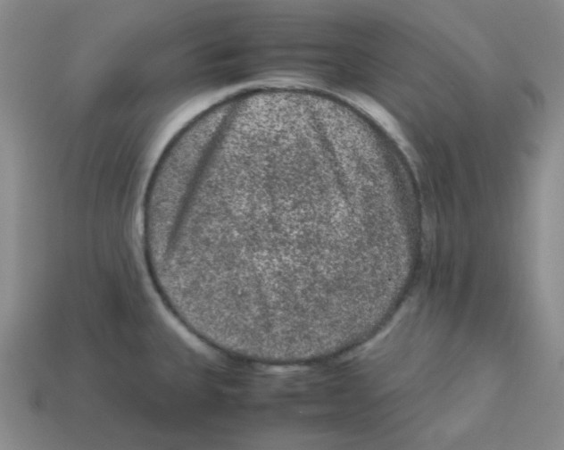 X0000113241335200910221052