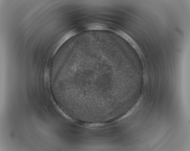 X0000113241337200910221052