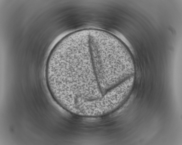 X0000113241339200910221052