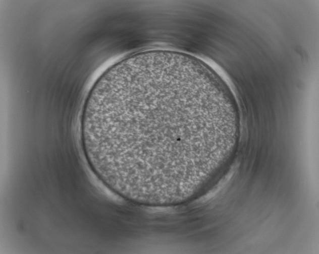 X0000113241341200910221052