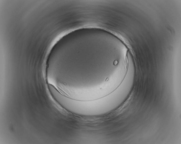 X0000113241342200910221052