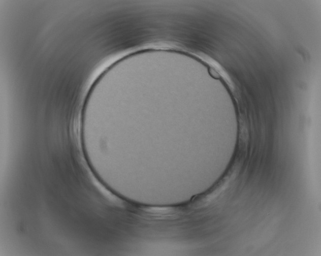 X0000113241343200910221052