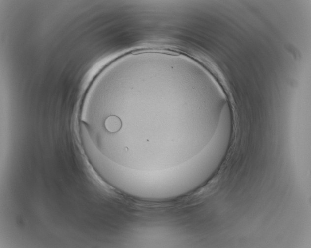 X0000113241344200910221052