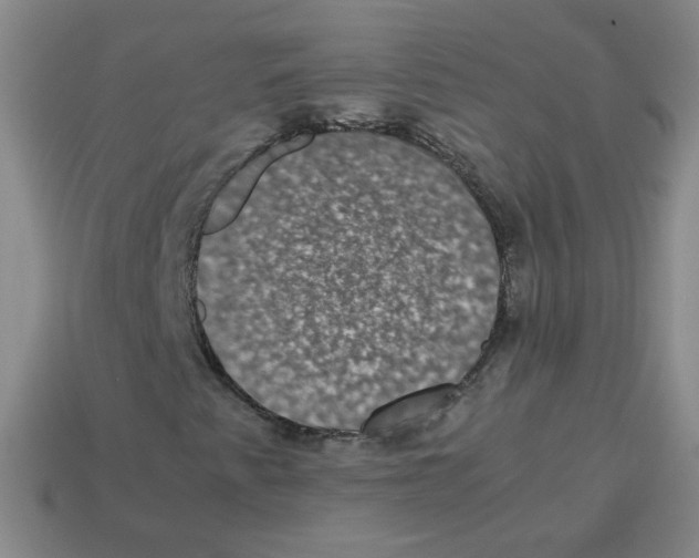 X0000113241345200910221051