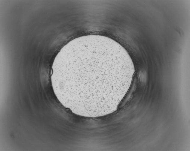 X0000113241348200910221051