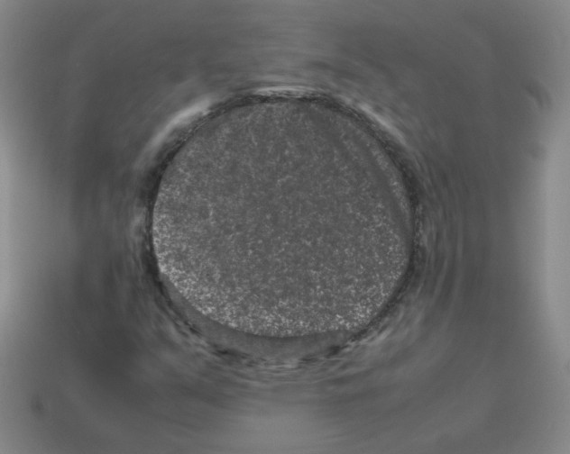 X0000113241351200910221051