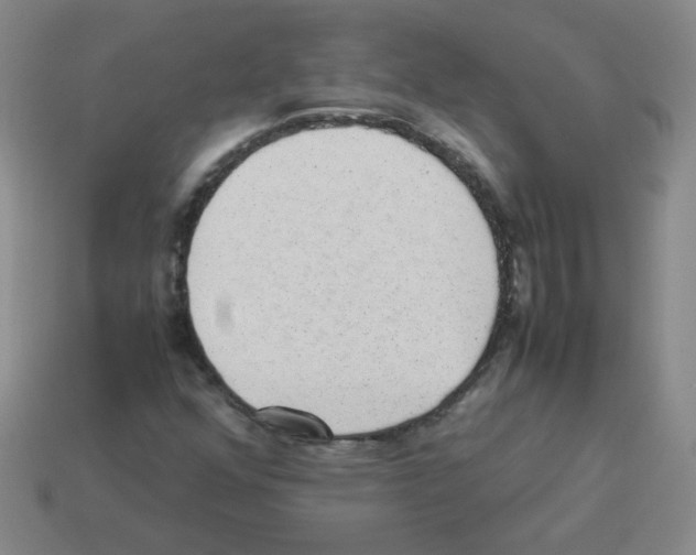 X0000113241352200910221051