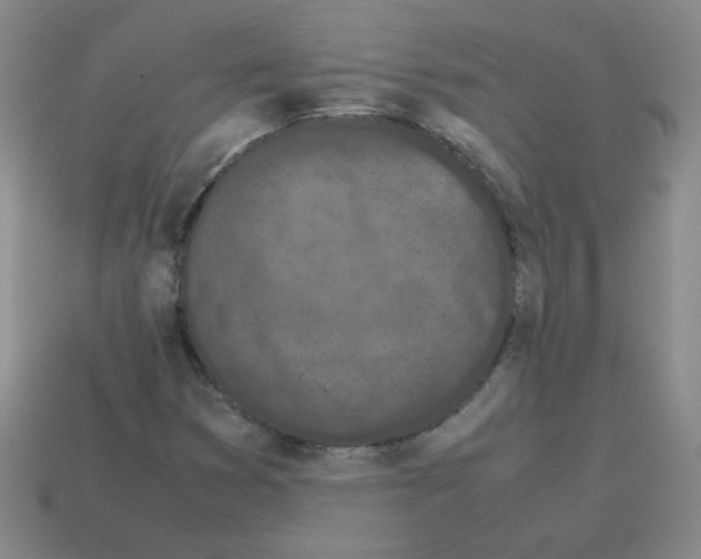 X0000113241353200910221051