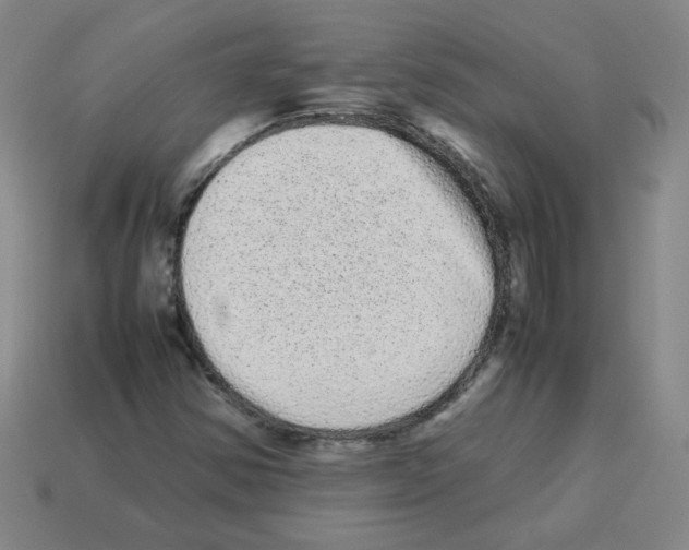 X0000113241354200910221051