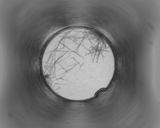 X0000113241356200910221051