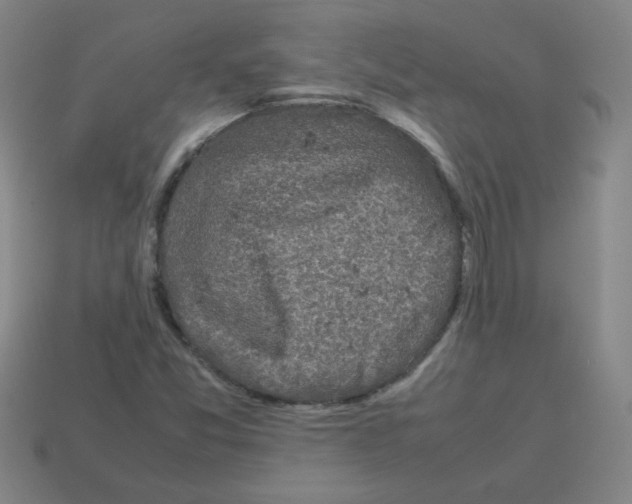 X0000113241357200910221051