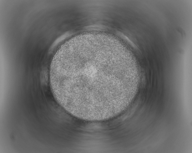 X0000113241358200910221051