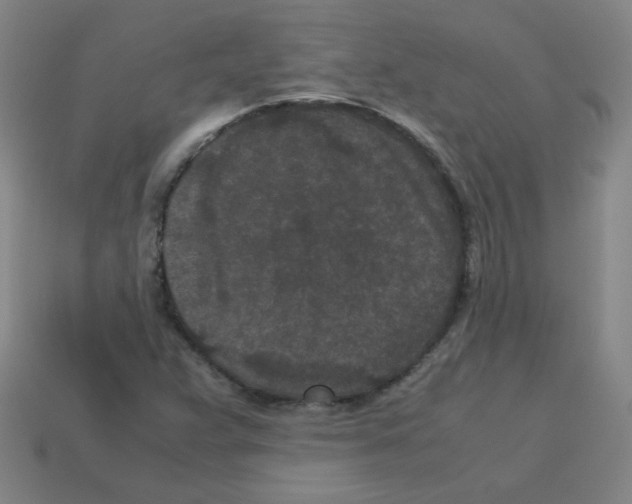 X0000113241359200910221051