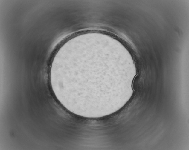 X0000113241360200910221051