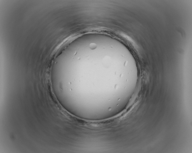 X0000113241361200910221051