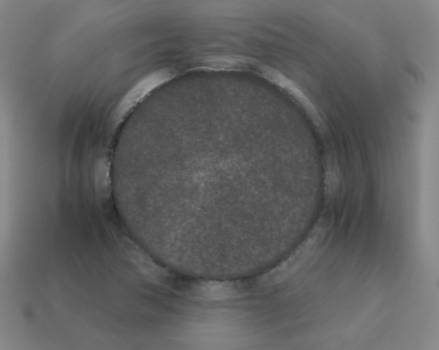 X0000113241362200910221051