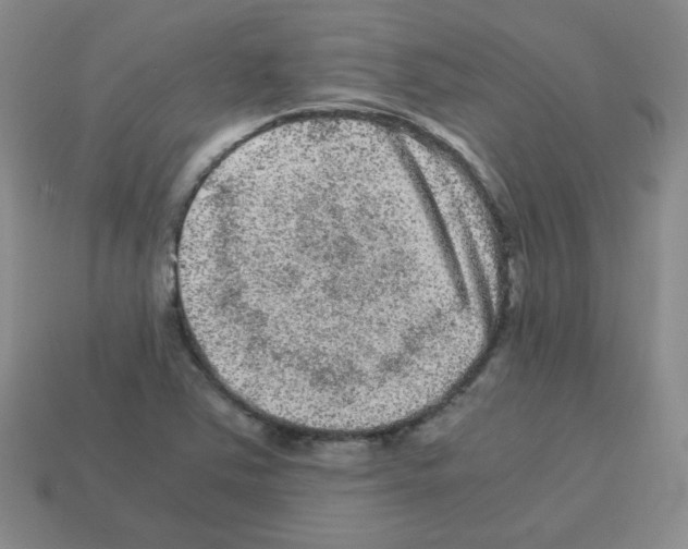 X0000113241363200910221051