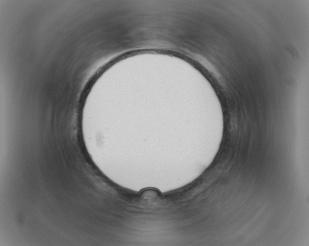 X0000113241364200910221051