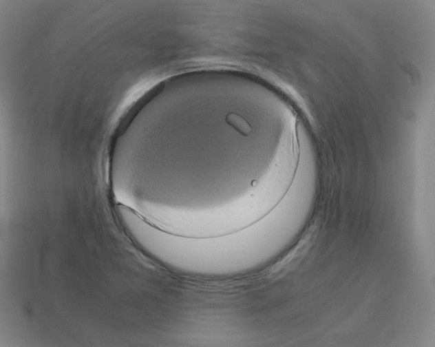 X0000113241365200910221051