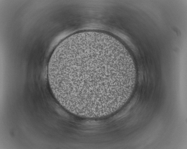 X0000113241366200910221051