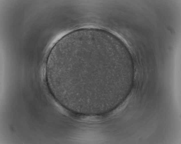 X0000113241367200910221051