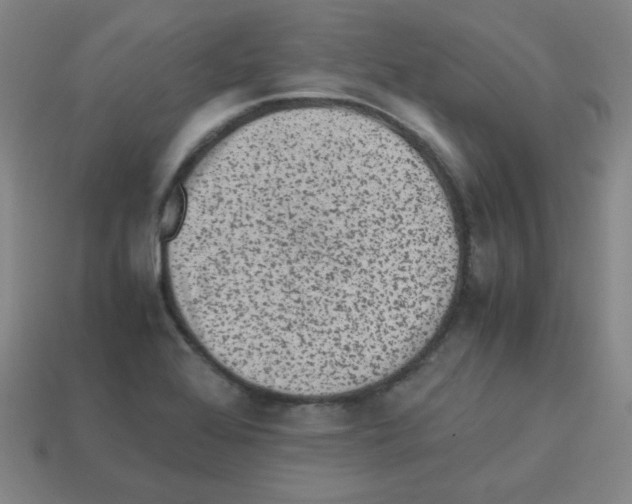 X0000113241368200910221051