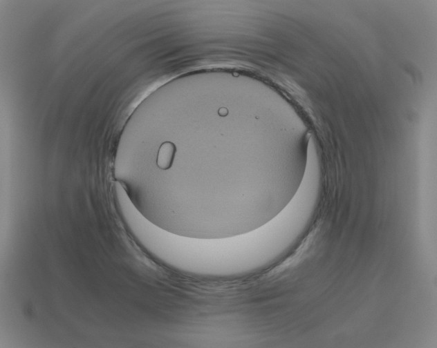 X0000113241369200910221051