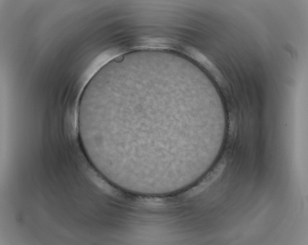 X0000113241370200910221051