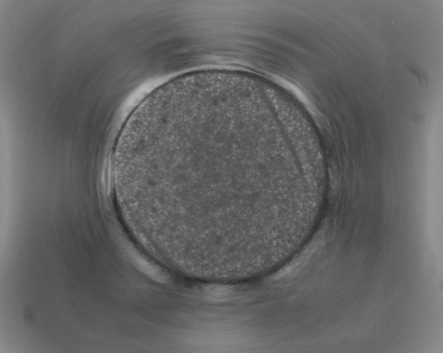 X0000113241371200910221051