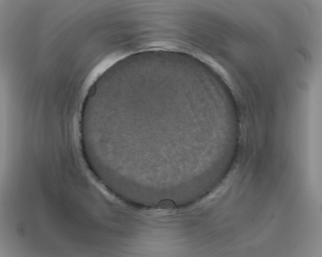 X0000113241373200910221051