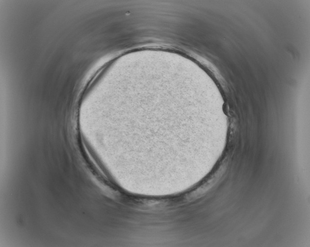 X0000113241375200910221051