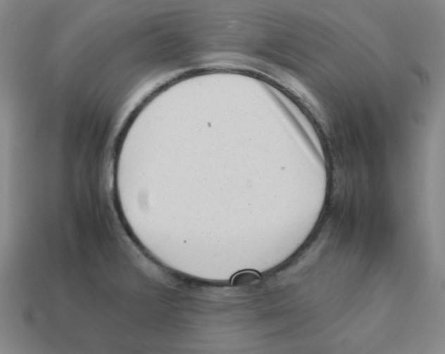 X0000113241376200910221051