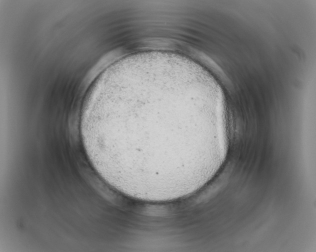 X0000113241378200910221051