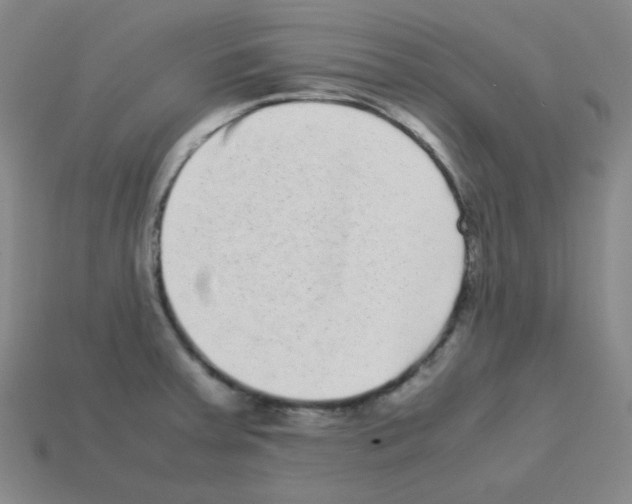 X0000113241379200910221051