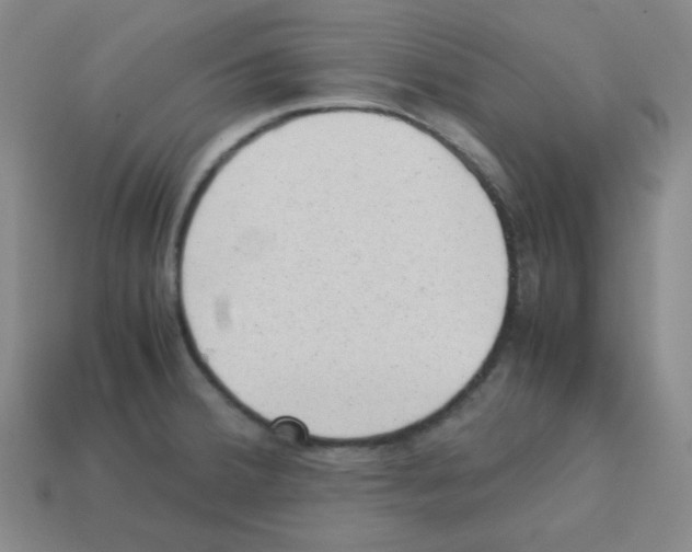 X0000113241380200910221051