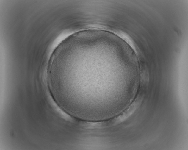 X0000113241381200910221051