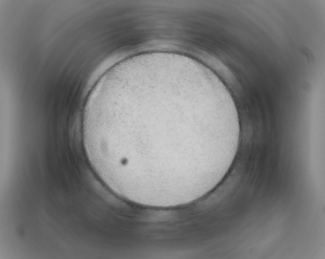 X0000113241382200910221051