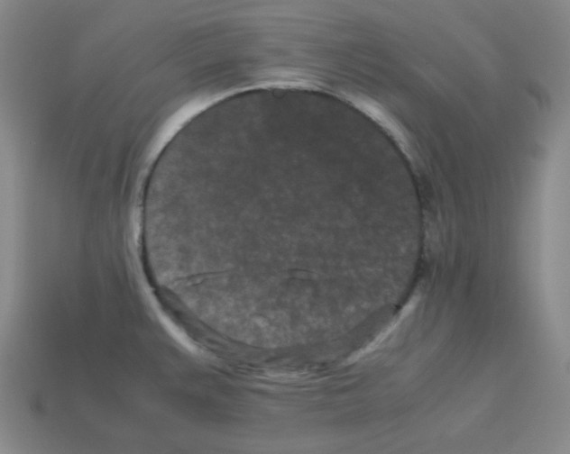 X0000113241383200910221051