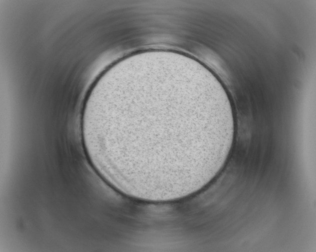 X0000113241384200910221051