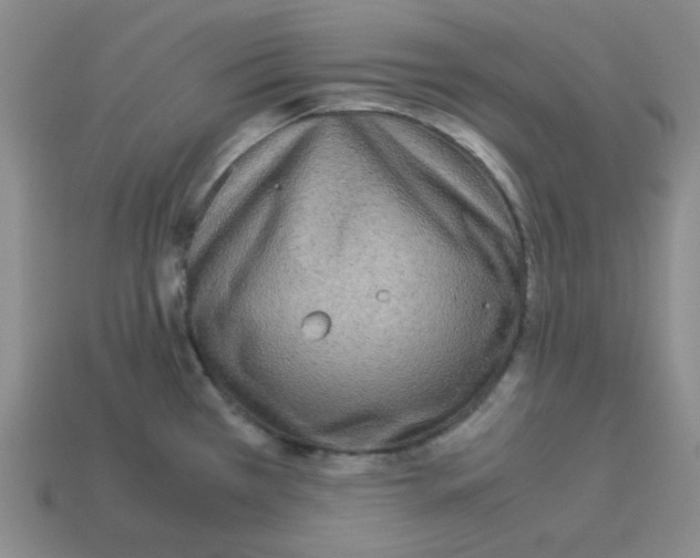 X0000113241385200910221051