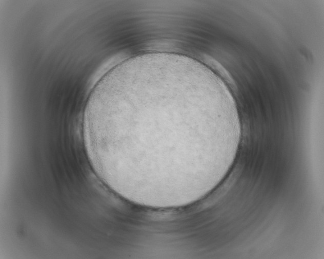 X0000113241386200910221051