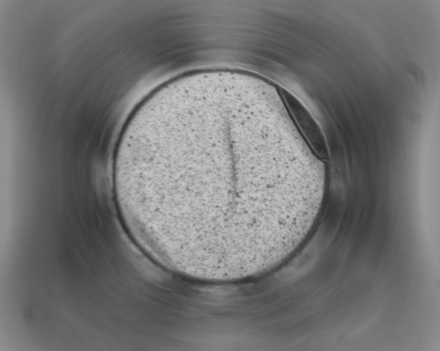X0000113241388200910221051