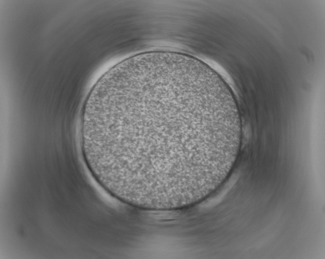 X0000113241391200910221051