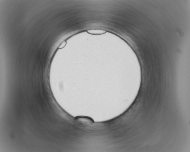 X0000113241392200910221051